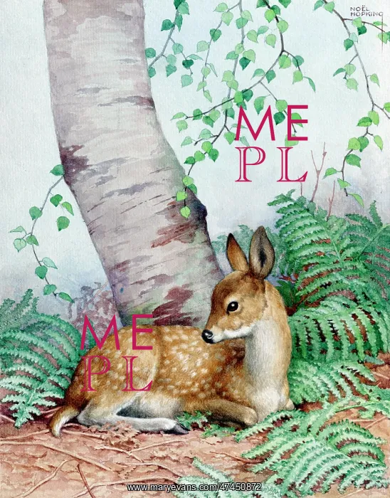  : A Fawn under a tree with bracken