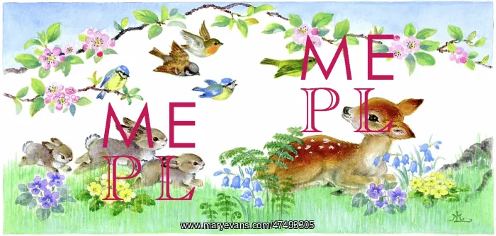 : Fawn, birds and rabbits : Fawn, birds and rabbits