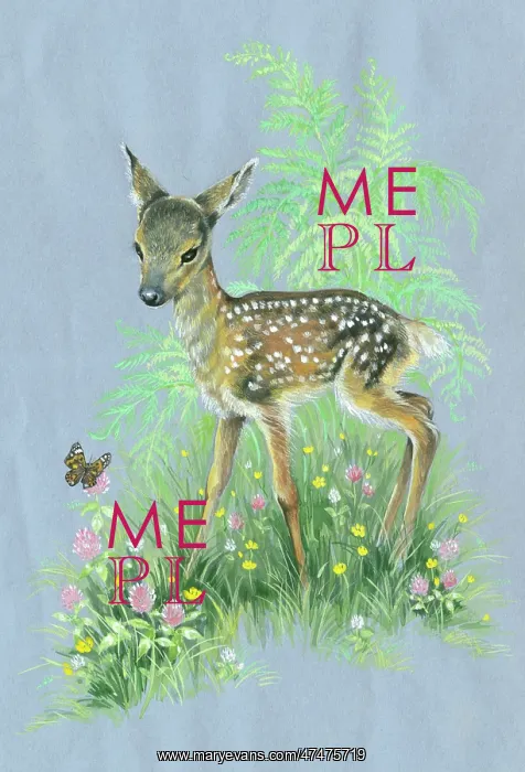  : Fawn and butterfly with clover, buttercups etc
