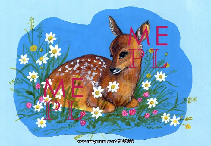  : Fawn with clover, daisies and buttercups