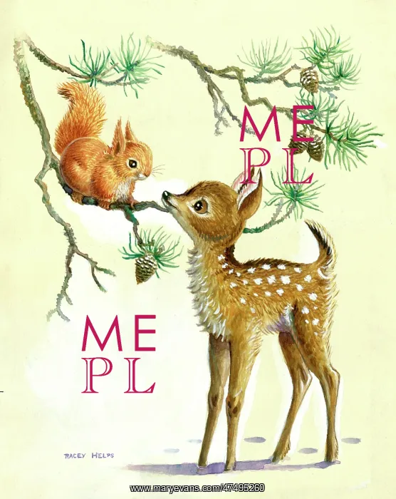 : Fawn looking at a squirrel on a pine bough : Fawn looking at a squirrel on a pine bough