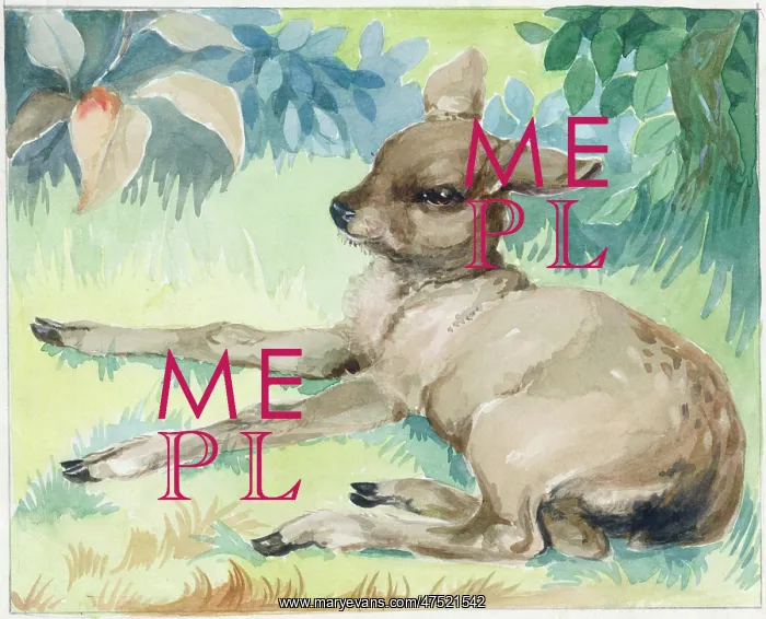  : Fawn lying down