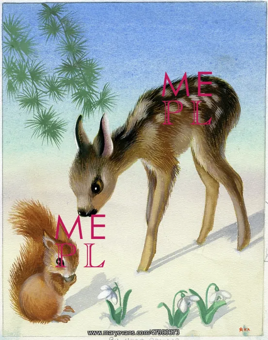 : Fawn and red squirrel in the snow : Fawn and red squirrel in the snow