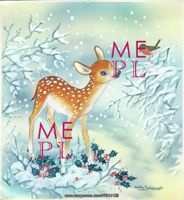  : Fawn and Robin in the snow with holly