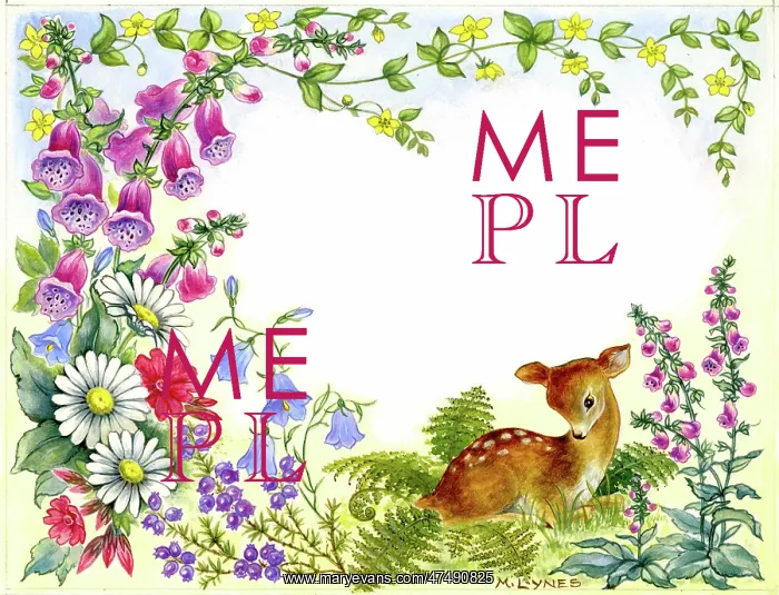 : Fawn amongst wild flowers : Fawn amongst wild flowers