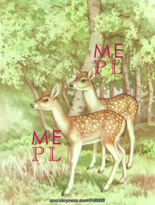  : Two Fawns. The Glade - two fawns (printed copy)