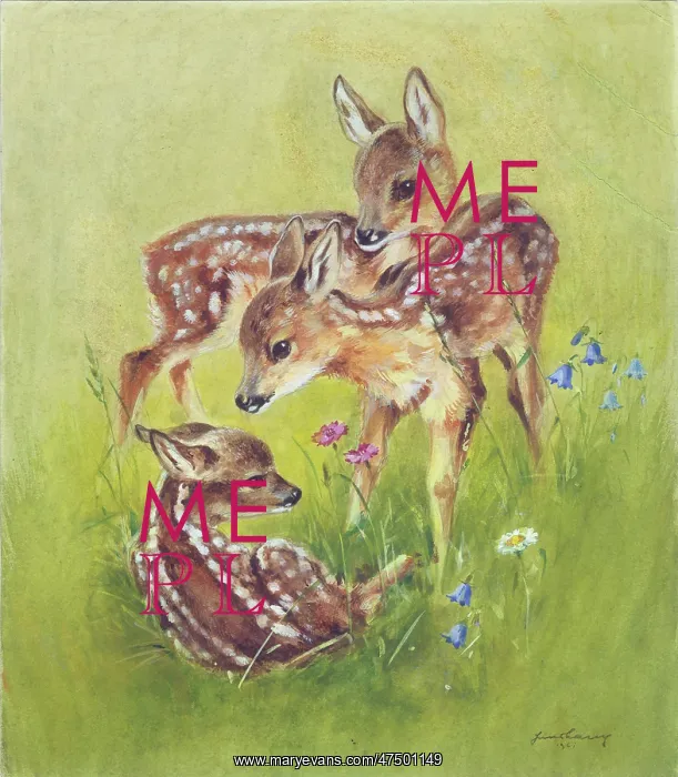  : Three Fawns