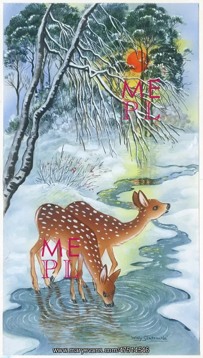 : Two fawns drinking from a stream in the snow : Two fawns drinking from a stream in the snow