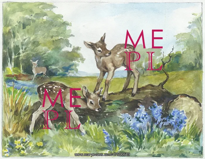 : Two fawns playing on a fallen tree : Two fawns playing on a fallen tree