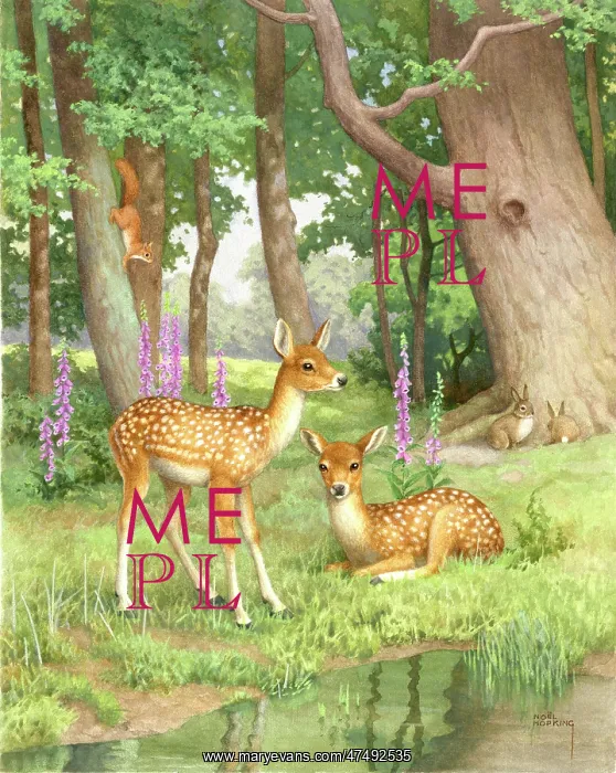 : Two fawns by a pool with rabbits and squirrel : Two fawns by a pool with rabbits and squirrel