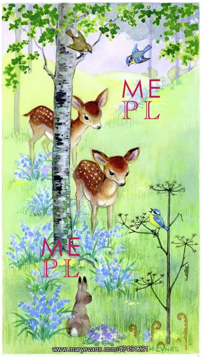 : Fawns, rabbit and bluebells : Fawns, rabbit and bluebells