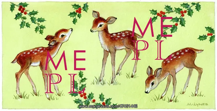  : Three fawns with sprays of holly