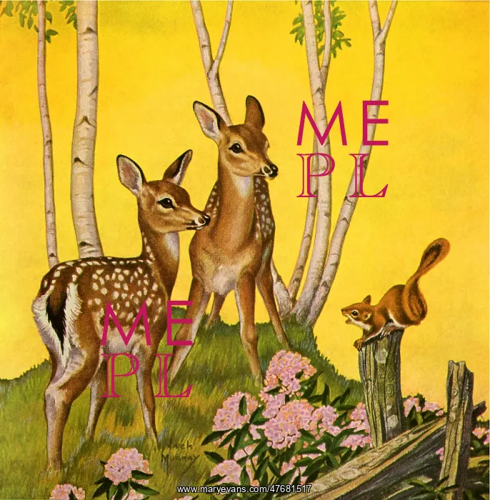  : Two Fawns and Squirrel