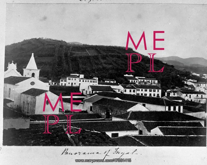 : Fayal, Azores 1873 : Fayal, Azores 1873