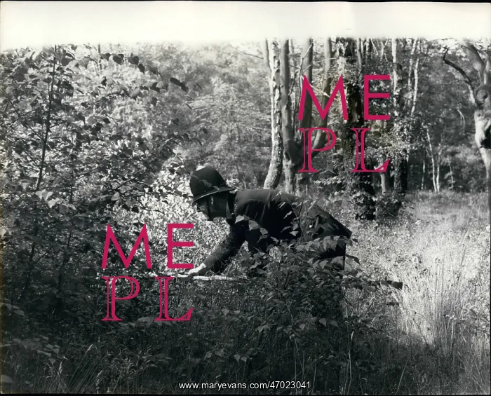 : FBI - Fire Department - Police : FBI - Fire Department - Police