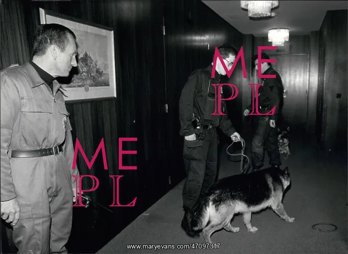 : FBI - Fire Department - Police : FBI - Fire Department - Police