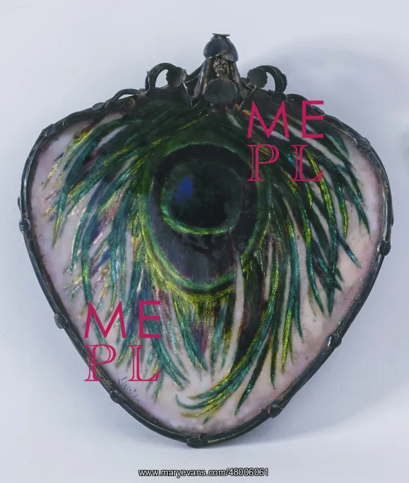 : Feather cup : Feather cup