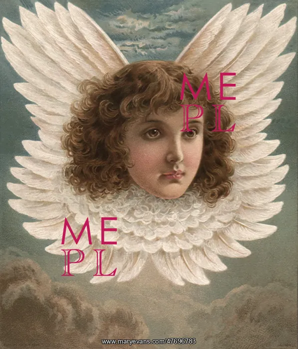  : Feathered Angel Head