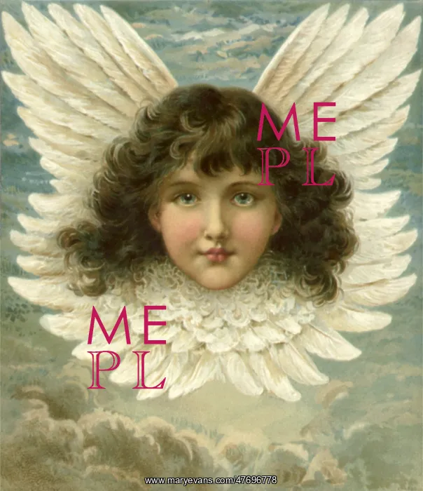  : Feathered Angel's Head