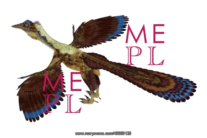 : A feathered Archaeopteryx bird-like dinosaur : A feathered Archaeopteryx bird-like dinosaur
