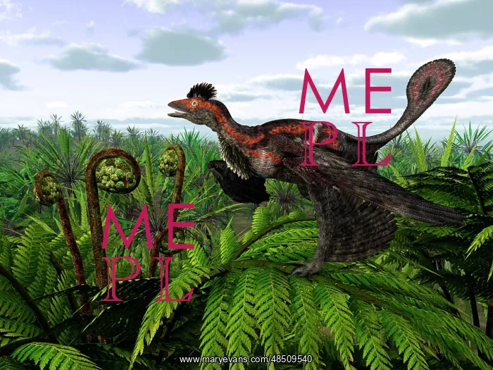 : A feathered Microraptor perched atop a tree fern : A feathered Microraptor perched atop a tree fern