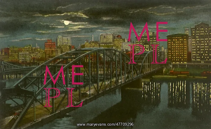  : Federal Street Bridge. Pittsburgh