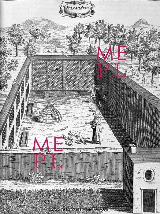 : Feeding birds on a farm. scene, from the 1775 : Feeding birds on a farm. scene, from the 1775