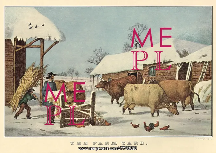  : Feeding the Cows