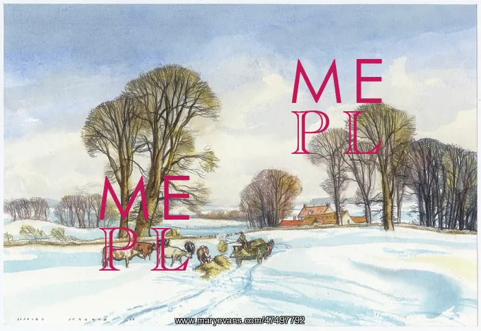 : Feeding the Cows in the Snow : Feeding the Cows in the Snow