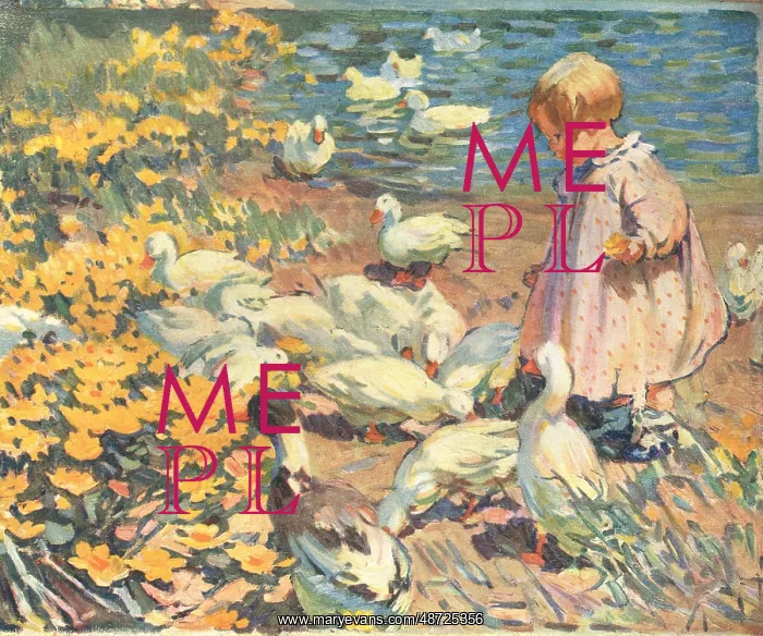 : Feeding The Ducks : Feeding The Ducks