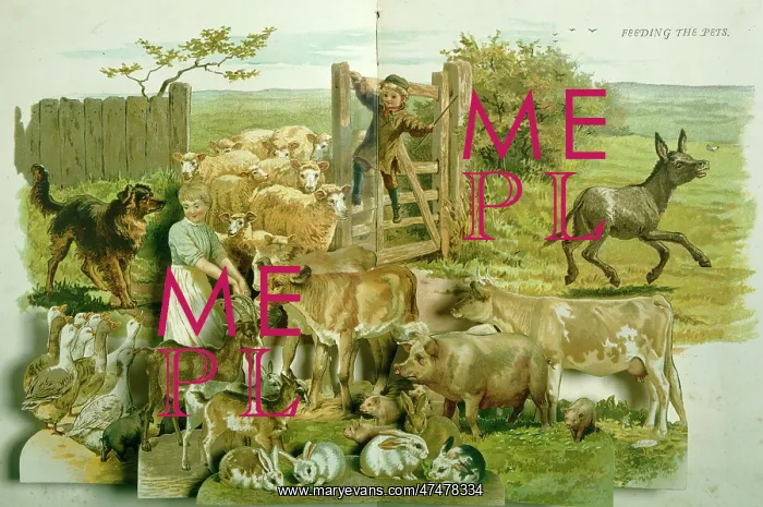 : Feeding the Pets ' sheep, pigs, geese etc : Feeding the Pets ' sheep, pigs, geese etc