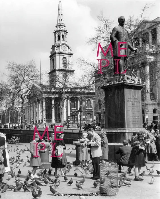 : FEEDING PIGEONS 1950 : FEEDING PIGEONS 1950