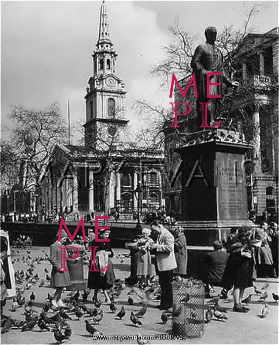 : FEEDING PIGEONS / 1950S : FEEDING PIGEONS / 1950S
