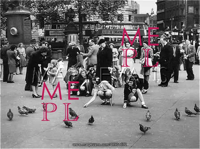 : FEEDING PIGEONS 1950S : FEEDING PIGEONS 1950S