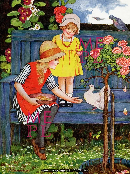 : Feeding pigeons : Feeding pigeons
