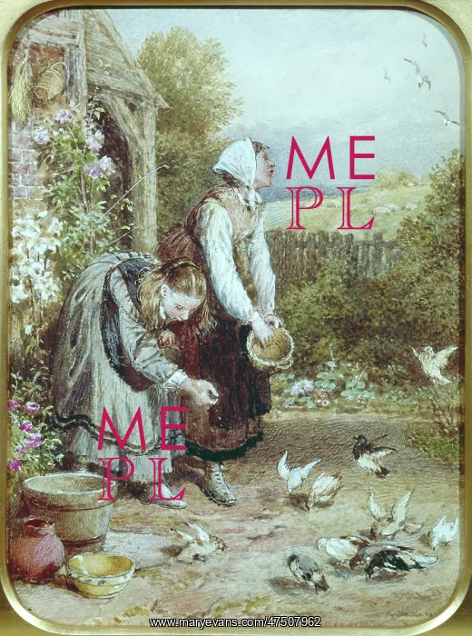 : Feeding Pigeons : Feeding Pigeons