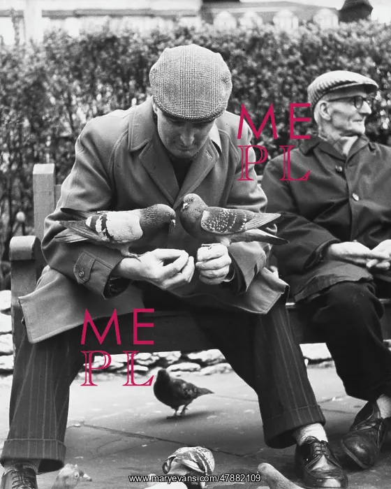 : Feeding the pigeons - Manchester, 1967 : Feeding the pigeons - Manchester, 1967