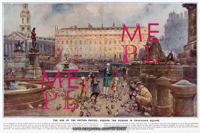 : Feeding the Pigeons in Trafalgar Square : Feeding the Pigeons in Trafalgar Square