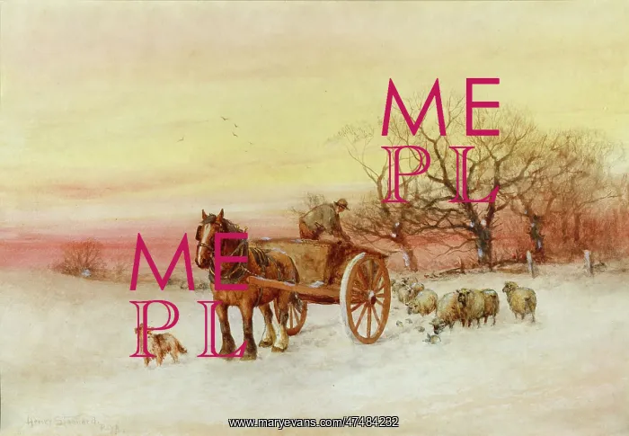 : Feeding Sheep in Winter : Feeding Sheep in Winter