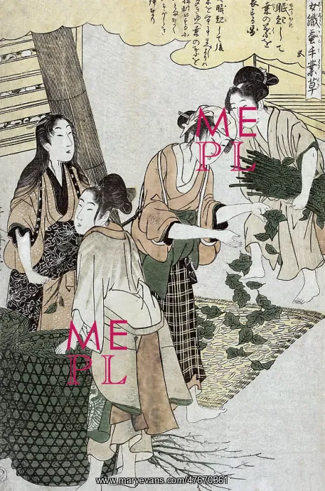 : Feeding Silkworms, Silk Making in Japan : Feeding Silkworms, Silk Making in Japan