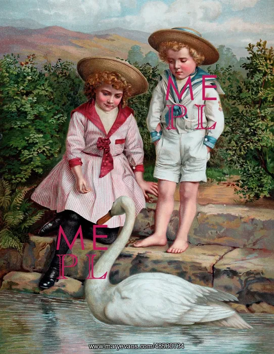  : Feeding the Swans