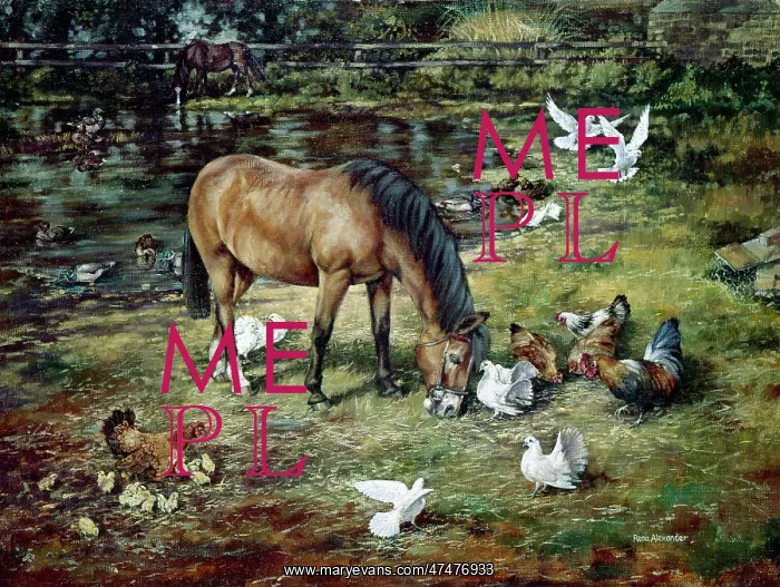 : Feeding Time ' farmyard scene : Feeding Time ' farmyard scene