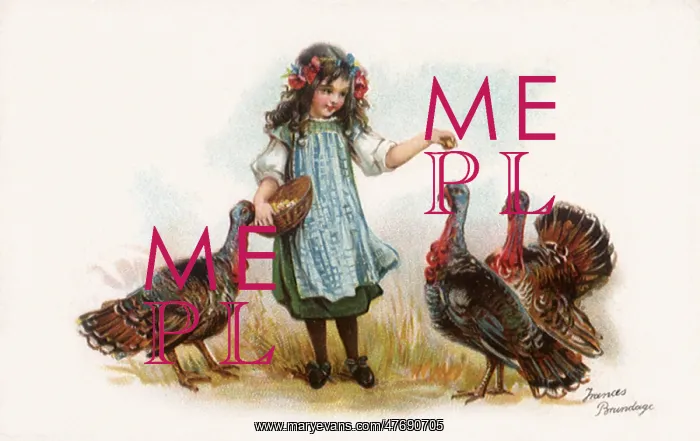  : Feeding the Turkeys