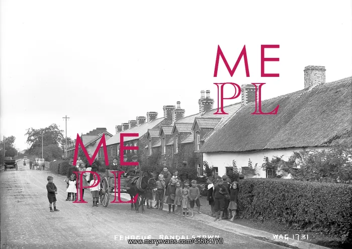 : Fehogue, Randalstown : Fehogue, Randalstown