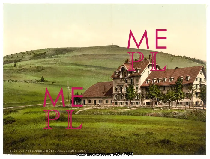: Feldberger Hotel, Feldberg, Black Forest, Baden, Germany : Feldberger Hotel, Feldberg, Black Forest, Baden, Germany