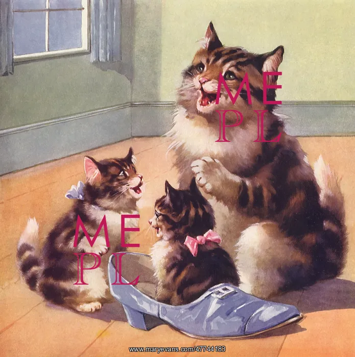  : Felines and Footwear