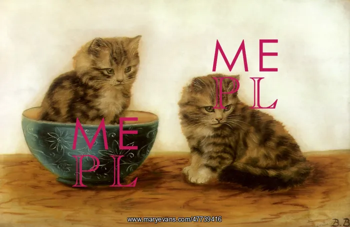  : Felines at Play