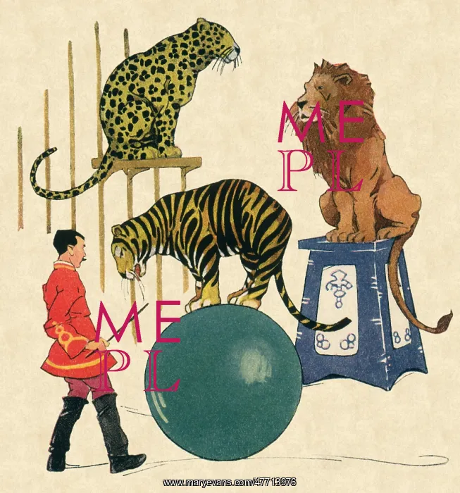  : Felines and Trainer