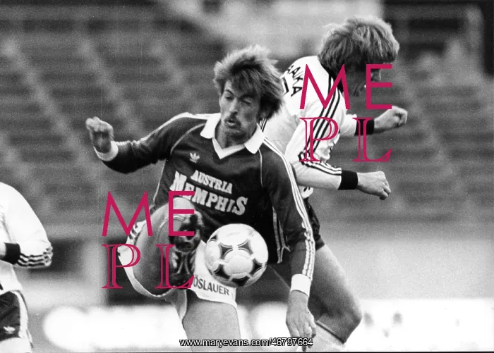 : Felix Gasselich 1981 : Felix Gasselich 1981