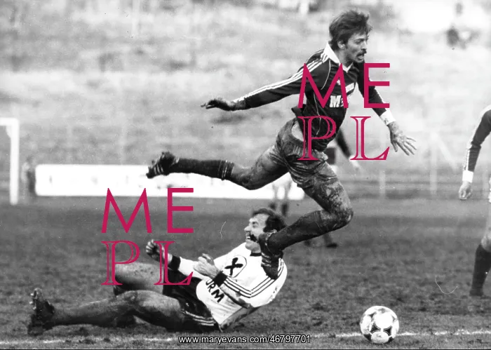 : Felix Gasselich 1981 : Felix Gasselich 1981